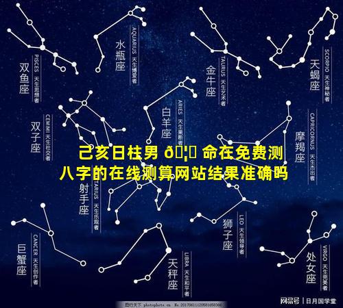 己亥日柱男 🦉 命在免费测八字的在线测算网站结果准确吗